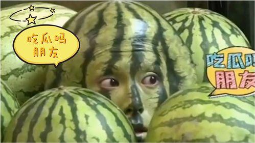 吃瓜是什么意思 吃瓜搞笑视频 吃瓜大赛,搞笑视频大赛，笑料横生，欢乐无限